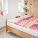 Pet Friendly In