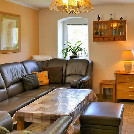 Pet Friendly In Apartment *