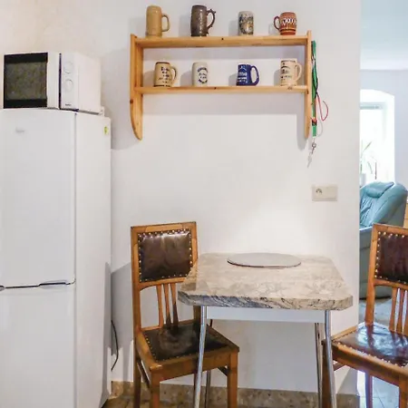 Apartment Pet Friendly In Freiberg